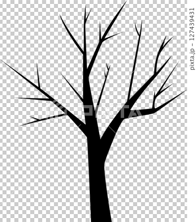 Blackness: An image composed entirely of the color black, devoid of light. 127439431