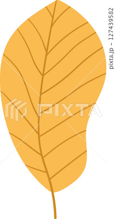 Illustration of a stylized golden autumn leaf with prominent veins. 127439582