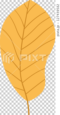 Illustration of a stylized golden autumn leaf with prominent veins. 127439582