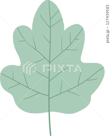 Green Leaf Illustration with Veins and Lobes on Black Background Green Leaf Illustration with Veins and Lobes on Black Background 127439583