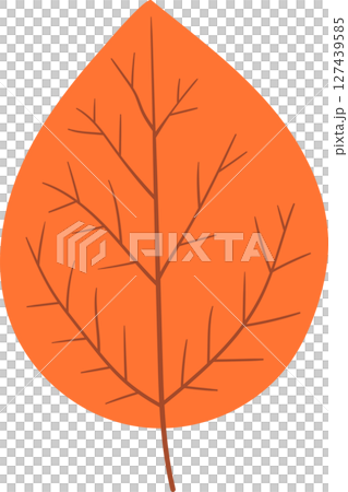 Autumn Leaf: A minimalist graphic illustration of an orange-colored leaf. 127439585