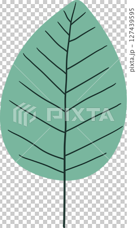 Stylized illustration of a leaf with veins on a black background. 127439595