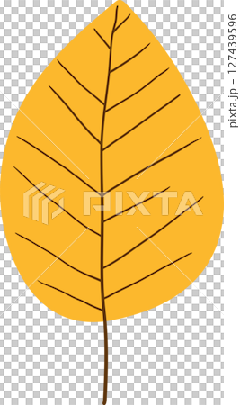 Stylized illustration of a vibrant yellow leaf against a black background. Stylized illustration of a vibrant yellow leaf against a black background. 127439596