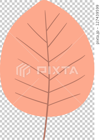 Minimalist illustration of a peach-colored leaf with prominent venation. 127439599