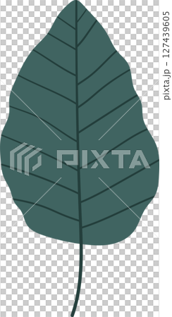 Isolated stylized leaf with detailed venation, perfect for botanical designs. Isolated stylized leaf with detailed venation, perfect for botanical designs. 127439605