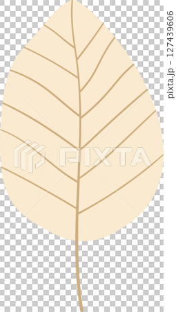 Minimalist illustration of a stylized beige leaf against a black background. Minimalist illustration of a stylized beige leaf against a black background. 127439606