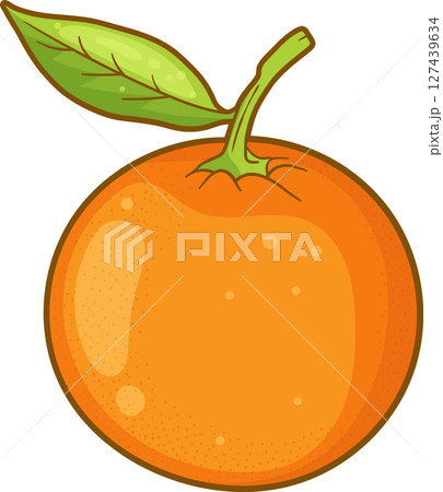 Vibrant citrus fruit with green leaf and stem over black background. 127439634