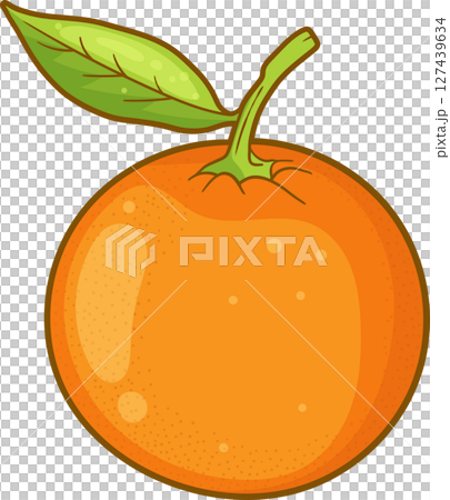 Vibrant citrus fruit with green leaf and stem over black background. Vibrant citrus fruit with green leaf and stem over black background. 127439634
