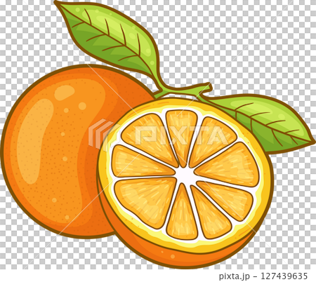 Fresh Citrus: A whole orange alongside a perfectly sliced half, leaves attached 127439635