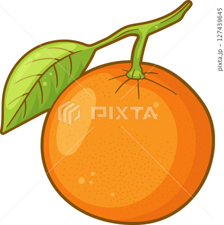 Bright orange fruit with a green leaf, highlighted against a black background. 127439645