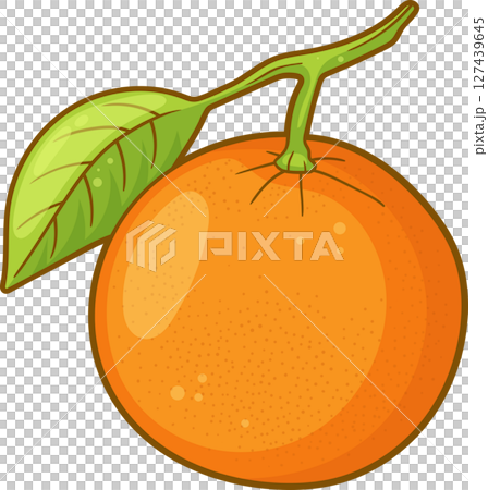 Bright orange fruit with a green leaf, highlighted against a black background. 127439645