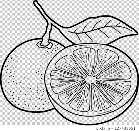 Complete blackness, lack of detail and visual representation or clarity. Complete blackness, lack of detail and visual representation or clarity. 127439651