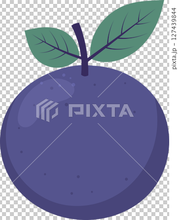 Illustration of a stylized plum with green leaves and a deep purple hue. Illustration of a stylized plum with green leaves and a deep purple hue. 127439844