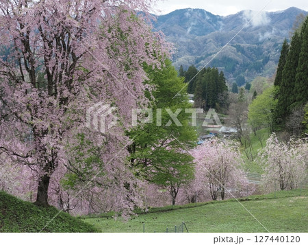 信州のうつくしい村 小川村の春の風景 信州のうつくしい村 小川村の春の風景 127440120