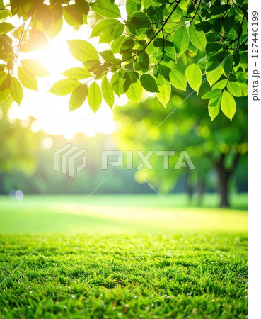 《AI画像》太陽の陽に照らされた爽やかな新緑の葉 127440199