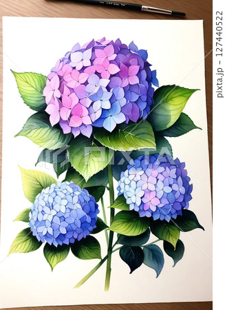 アジサイのイラストを描いたイラスト(水彩画風) 127440522