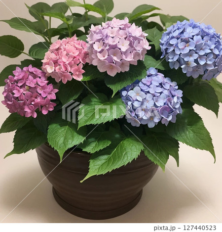 あじさいと花瓶 127440523