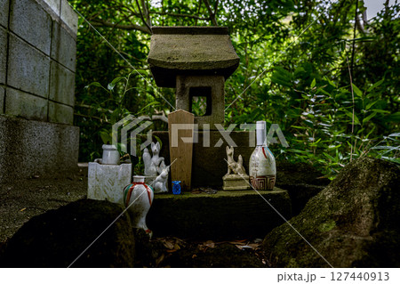 森山神社の森にひっそり佇む小さな祠と狐像 神奈川県葉山町 森山神社の森にひっそり佇む小さな祠と狐像 神奈川県葉山町 127440913