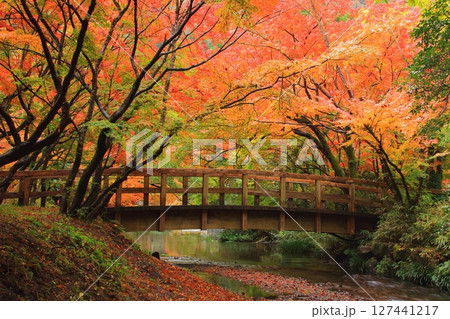 秋の金鱗湖周辺（由布市湯布院町） 127441217