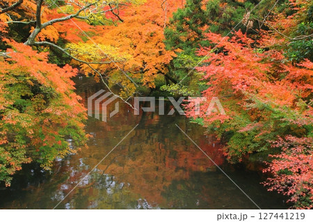 秋の金鱗湖周辺（由布市湯布院町） 127441219