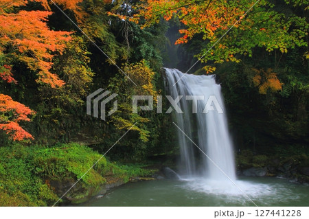 秋の慈恩の滝(大分県玖珠町) 秋の慈恩の滝(大分県玖珠町) 127441228