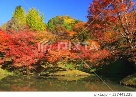 秋の用作公園(豊後大野市) 秋の用作公園(豊後大野市) 127441229