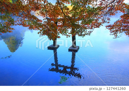 秋の金鱗湖(天祖神社・由布市湯布院町) 秋の金鱗湖(天祖神社・由布市湯布院町) 127441260