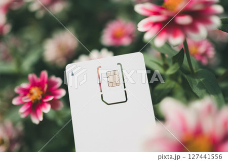 SIMカード台紙と花 127441556
