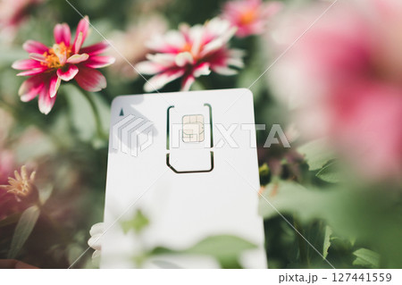SIMカード台紙と花 127441559