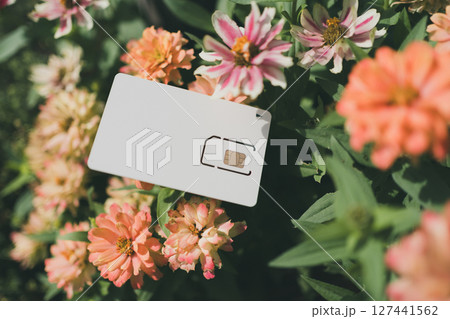 SIMカード台紙と花 127441562