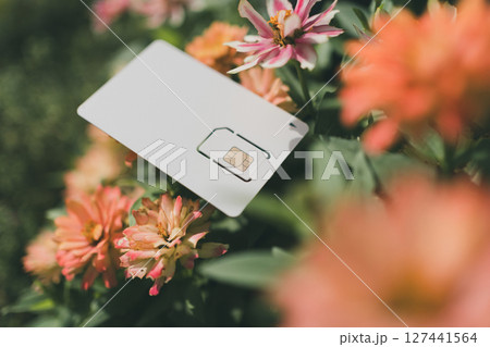 SIMカード台紙と花 127441564