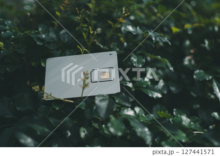 SIMカード台紙と植物 127441571