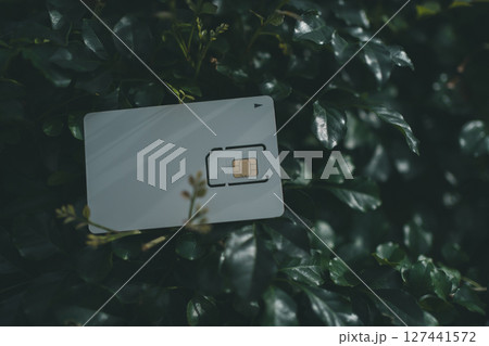 SIMカード台紙と植物 127441572
