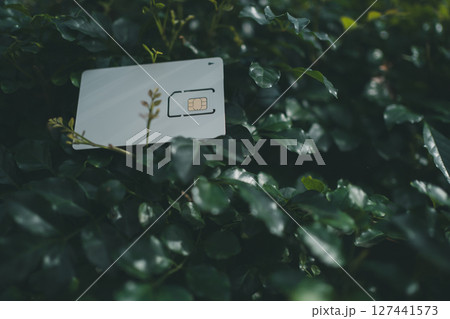 SIMカード台紙と植物 SIMカード台紙と植物 127441573