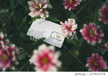 SIMカード台紙と花 127441578