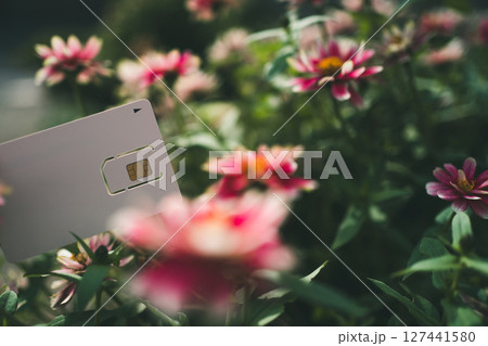 SIMカード台紙と花 127441580