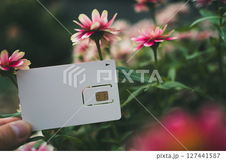 SIMカード台紙と花 SIMカード台紙と花 127441587