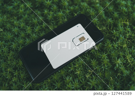 SIMカード台紙とスマートフォン 127441589