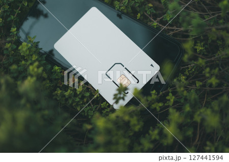 SIMカード台紙とスマートフォン 127441594