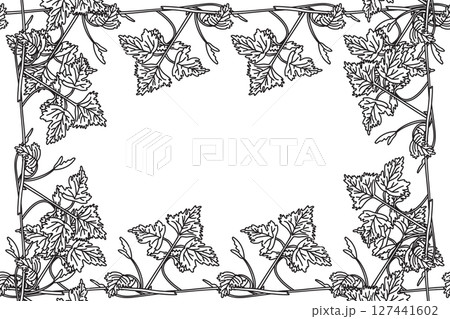 Line art botanical floral frame with grapevine isolated on white background. Hand drawn outline vine plant with long stem and leaves vector illustration. Graphic design element for Birthday Wedding 127441602