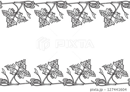 Line art botanical floral horizontal seamless border with grapevine pattern isolated on white background. Hand drawn outline vine plant with stem and leaves vector illustration. Graphic design element 127441604