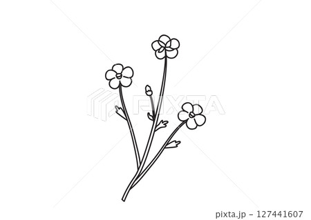 Line art botanical floral meadow bouquet doodle isolated on white background. Hand drawn outline three wildflower plant with flowers vector illustration. Graphic design element for Birthday Wedding Line art botanical floral meadow bouquet doodle isolated on white background. Hand drawn outline three wildflower plant with flowers vector illustration. Graphic design element for Birthday Wedding 127441607