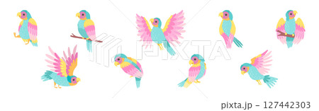 Funny Tropical Parrot with Bright Feathered Wings Vector Set 127442303