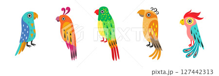 Funny Tropical Parrot with Bright Feathered Wings Vector Set 127442313
