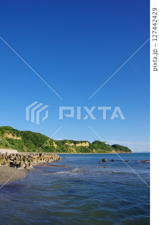 兵庫県淡路島　東町海岸から潮崎を望む 127442429