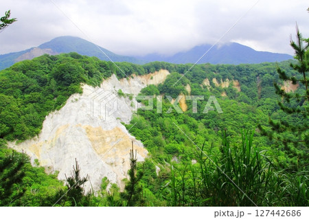 白神山地（日本キャニオン） 127442686