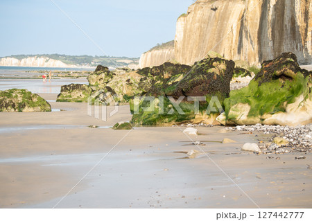Stone with moss after the ebb of the ocean 127442777