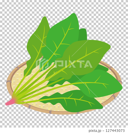 菠菜 菠菜 127443073