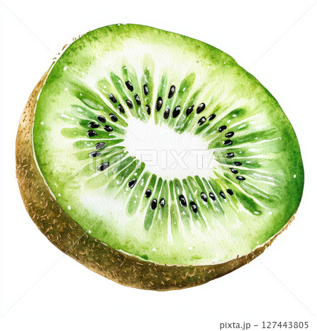 vibrant kiwi slice showcasing its green flesh and black seeds, perfect for food illustrations 127443805