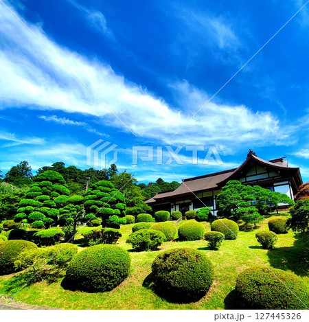 青空の龍雲と美しい日本庭園 127445326
